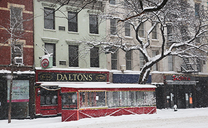 Snowstorm : 2021 : New York : Personal Photo Projects : Photos : Richard Moore : Photographer